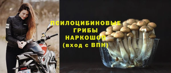 дурь Липки