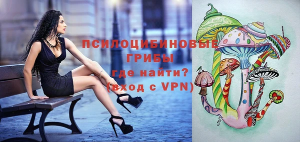 дурь Липки