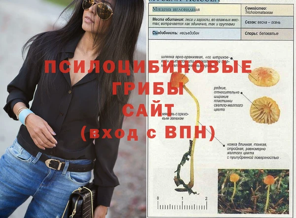 амф Лиски