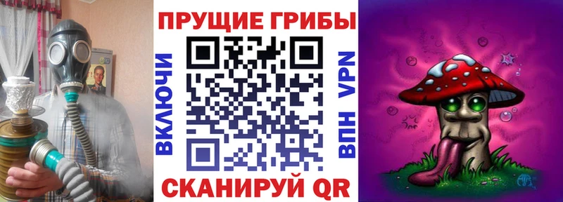 Галлюциногенные грибы Psilocybine cubensis  магазин продажи   kraken как зайти  Шилка 