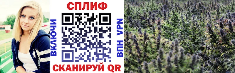 купить наркоту  Шилка  Бошки Шишки LSD WEED 
